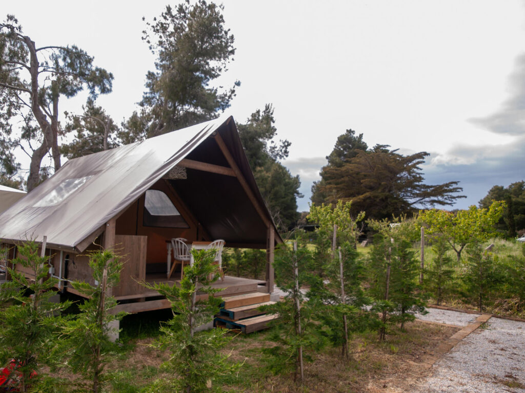 GLAMPING | AGRITURISMO TORRACCIA